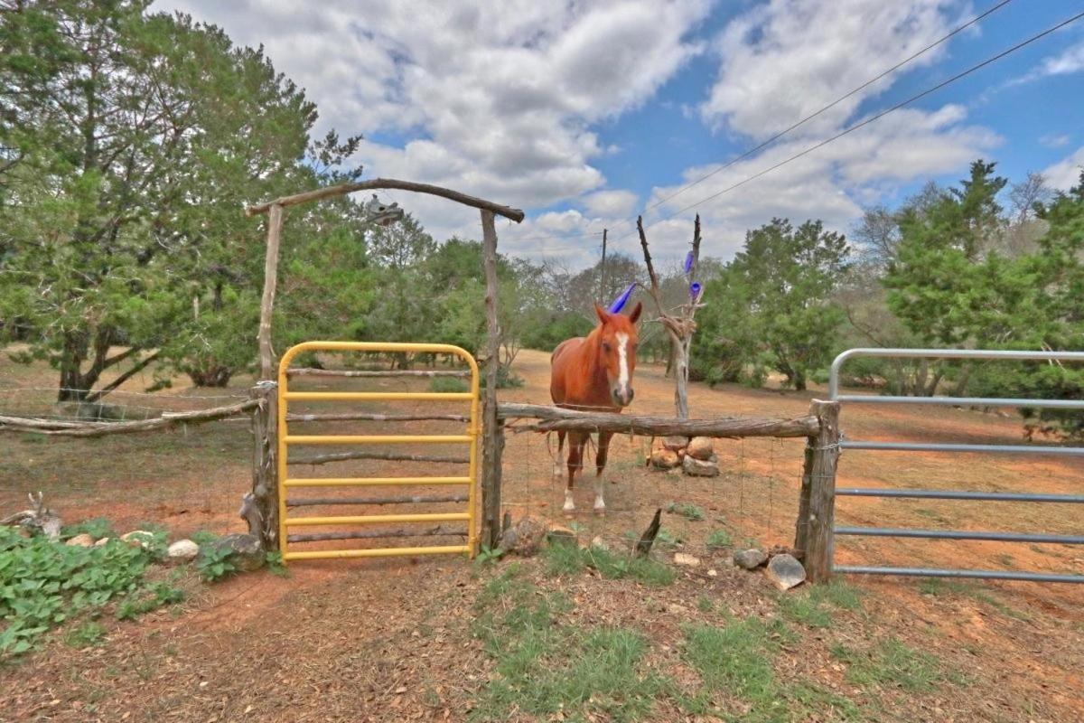 Вілла Three Horses Ranch Джонсон-Сіті Екстер'єр фото